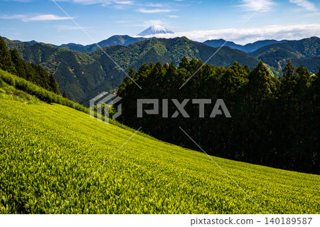 從山間茶園眺望富士山。 從山間茶園眺望富士山。 140189587