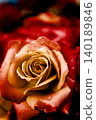 A red rose 140189846
