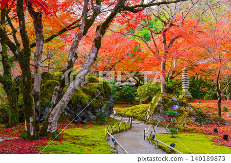 Autumn leaves of Kyoto Buddhist priest 140189873