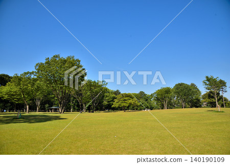 Aichi Prefecture: Meijo Park in the fresh greenery Aichi Prefecture: Meijo Park in the fresh greenery 140190109
