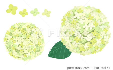白色繡球花和花卉插圖 140190137