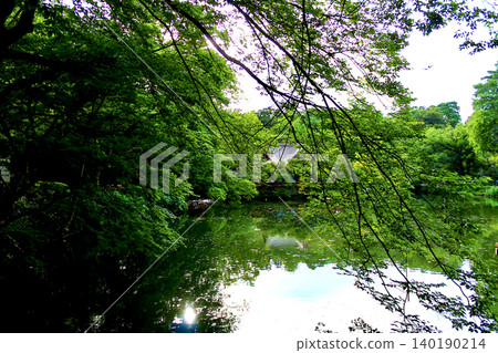 [Tokyo] Kichijoji in summer: Benzaiten viewed from Benten Bridge in Inokashira Park 140190214