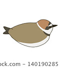 A sitting Kentish plover (summer plumage) 140190285