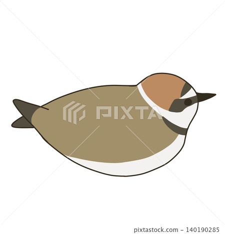 A sitting Kentish plover (summer plumage) 140190285