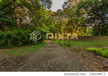 濱離宮庭園內，陽光斑駁的步道，周圍環繞著竹林和樹木。 2023年10月。 140190611