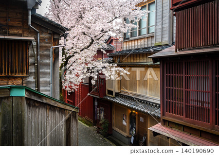 A charming alley leading to "Kuragari-zaka" in Kanazawa's Kazue-machi Chaya District, and cherry blossoms in full bloom. A charming alley leading to "Kuragari-zaka" in Kanazawa's Kazue-machi Chaya District, and cherry blossoms in full bloom. 140190690