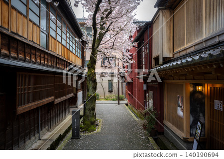 金澤市和江町茶屋地區的「倉刈坂」是一條迷人的小巷,櫻花盛開。 金澤市和江町茶屋地區的「倉刈坂」是一條迷人的小巷,櫻花盛開。 140190694