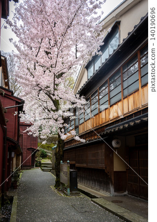 A charming alley leading to "Kuragari-zaka" in Kanazawa's Kazue-machi Chaya District, and cherry blossoms in full bloom. A charming alley leading to "Kuragari-zaka" in Kanazawa's Kazue-machi Chaya District, and cherry blossoms in full bloom. 140190696