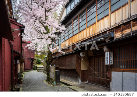 A charming alley leading to "Kuragari-zaka" in Kanazawa's Kazue-machi Chaya District, and cherry blossoms in full bloom. 140190697