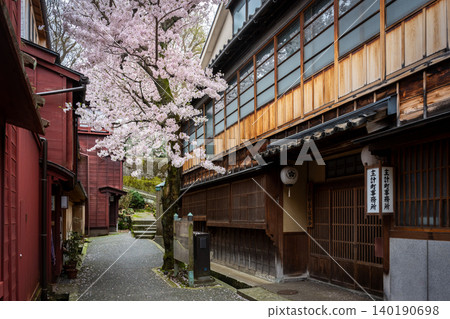 A charming alley leading to "Kuragari-zaka" in Kanazawa's Kazue-machi Chaya District, and cherry blossoms in full bloom. A charming alley leading to "Kuragari-zaka" in Kanazawa's Kazue-machi Chaya District, and cherry blossoms in full bloom. 140190698