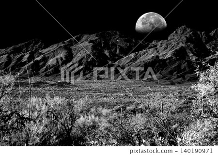 Moon Rising High Contrast Old Saguaro Cactus Sonora desert Arizona in Black and White 140190971