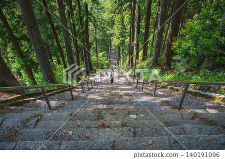 [Minobu-san] A view of the cedar avenue and Bodhi Staircase from above [Kuonji Temple] 140191096
