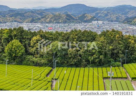 Streetscape and tea plantations in Shimada City (Shizuoka Prefecture) Streetscape and tea plantations in Shimada City (Shizuoka Prefecture) 140191831