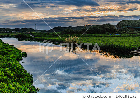 The mangrove wetlands of Tanegashima Island, where the sky and greenery are beautifully reflected on the water's surface. The mangrove wetlands of Tanegashima Island, where the sky and greenery are beautifully reflected on the water's surface. 140192152