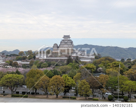 姬路城(白鷺城)週邊 姬路城(白鷺城)週邊 140192181
