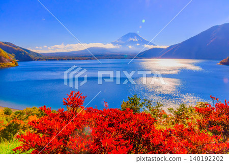 在一個晴朗的秋日早晨，從被五彩斑斕的秋葉裝點的本棲湖展望公園，可以看到白雪皚皚的富士山和波光粼粼的湖面。 140192202