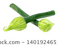 Two fresh green onion flower stalks with light green closed buds isolated. Organic vegetable ingredients for cooking and healthy diet. 140192465
