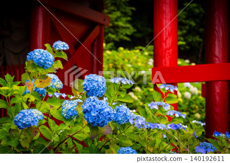 寺廟與繡球花:日本景觀 寺廟與繡球花:日本景觀 140192611