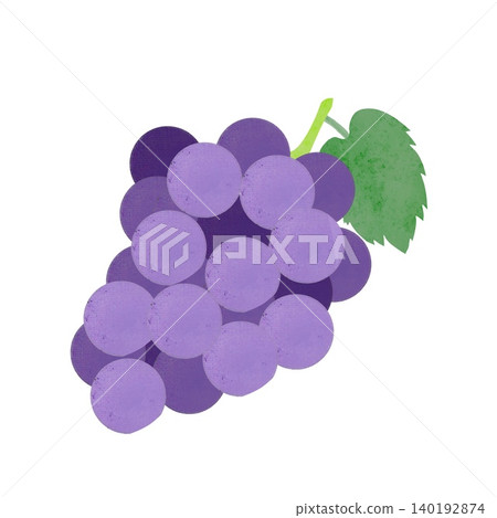 Hand-drawn illustration of grapes Hand-drawn illustration of grapes 140192874