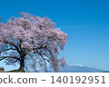 Crocodile Mound and Yatsugatake Mountains 140192951