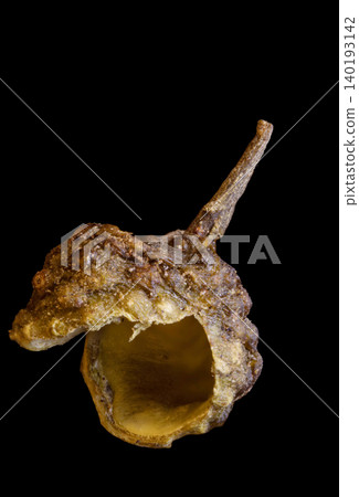 one big of Sichuan pepper green isolated very close on a black 140193142