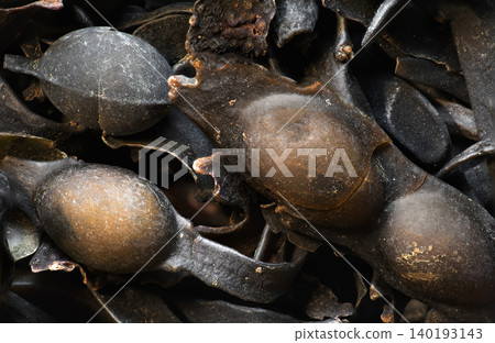 Seaweed, Fucus background 140193143