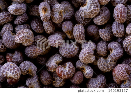 macro shot of blue puppy seeds fron Czech Republic macro shot of blue puppy seeds fron Czech Republic 140193157