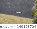 Photo of a stork in flight 140193704