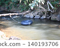 River water tube rope tree rock forest current gentle stream scene with tied inflatable tube near bank in calm nature setting 140193706