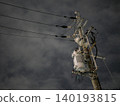 The silent silhouettes of utility poles and power lines stretching into the night sky. 140193815
