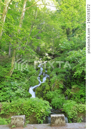 福島縣南會津郡尾瀨國立公園/檜枝岐村文名坂之清水 福島縣南會津郡尾瀨國立公園/檜枝岐村文名坂之清水 140193872