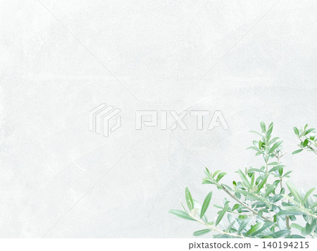 A horizontal background image featuring dark green olive branches and leaves in front of a bright pale blue wall. A horizontal background image featuring dark green olive branches and leaves in front of a bright pale blue wall. 140194215