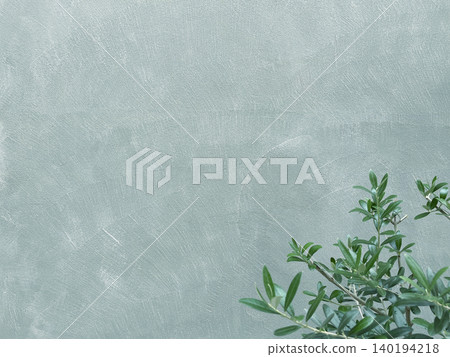 A horizontal background image featuring dark green olive branches and leaves in front of a light blue wall. A horizontal background image featuring dark green olive branches and leaves in front of a light blue wall. 140194218