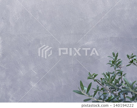 A horizontal background image showing blue-green olive branches and leaves in front of a silver wall. A horizontal background image showing blue-green olive branches and leaves in front of a silver wall. 140194222