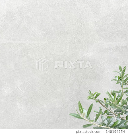 A square background image featuring light green olive branches and leaves in front of a white wall. A square background image featuring light green olive branches and leaves in front of a white wall. 140194254