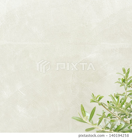 A square background image featuring light green olive branches and leaves in front of an ivory wall. A square background image featuring light green olive branches and leaves in front of an ivory wall. 140194258