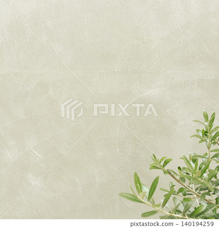 A square background image featuring light green olive branches and leaves in front of a bright light beige wall. A square background image featuring light green olive branches and leaves in front of a bright light beige wall. 140194259