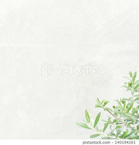 A square background image featuring green olive branches and leaves in front of a bright pale green wall. A square background image featuring green olive branches and leaves in front of a bright pale green wall. 140194261
