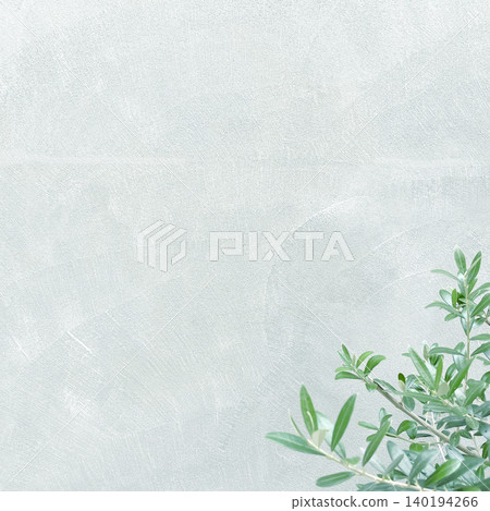 A square background image featuring dark green olive branches and leaves in front of a pale blue wall. A square background image featuring dark green olive branches and leaves in front of a pale blue wall. 140194266