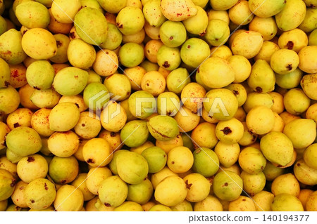 Buayaba o guayabilla fruit Psidium guajava Linnaeus Buayaba o guayabilla fruit Psidium guajava Linnaeus 140194377