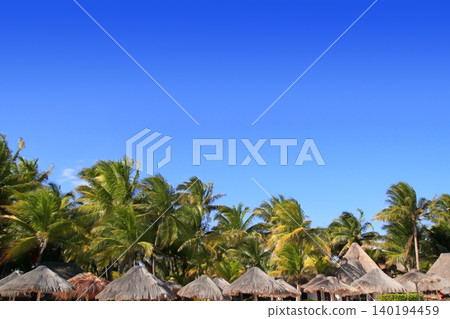 Playa del Carmen tropical palapa palm trees Mexico Playa del Carmen tropical palapa palm trees Mexico 140194459