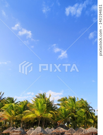 Playa del Carmen tropical palapa palm trees Mexico Playa del Carmen tropical palapa palm trees Mexico 140194681