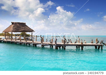 Contoy island Mexico wood pier nature reserve Contoy island Mexico wood pier nature reserve 140194779