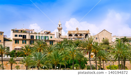 Majorca Cathedral garden with palm trees and Calatrava Majorca Cathedral garden with palm trees and Calatrava 140194872