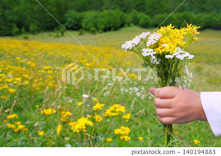 Children hand hold flowers in spring meadow Children hand hold flowers in spring meadow 140194883