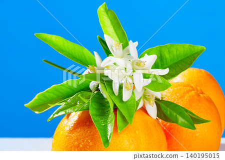 Oranges with orange blossom flowers on blue Oranges with orange blossom flowers on blue 140195015