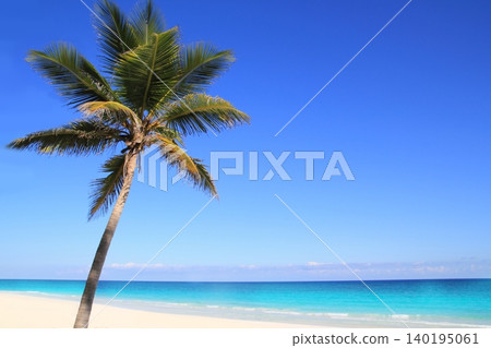 Caribbean coconut palm trees in tuquoise sea Caribbean coconut palm trees in tuquoise sea 140195061