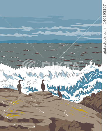 Cormorant on Rocks at Pebble Beach California WPA Ukiyo-e Poster Cormorant on Rocks at Pebble Beach California WPA Ukiyo-e Poster 140195397