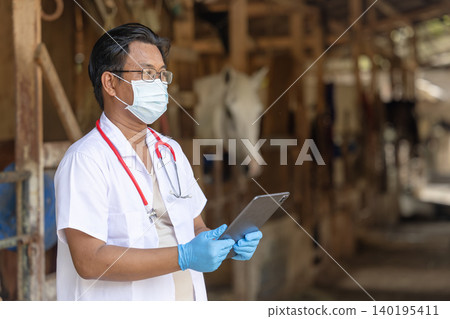 Veterinarian wearing gloves and face mask at horse farm, Doctor working in livestock stable farm Veterinarian wearing gloves and face mask at horse farm, Doctor working in livestock stable farm 140195411