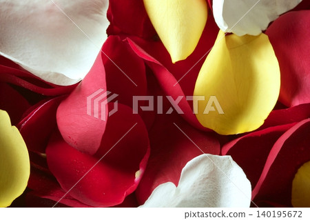 Colorful rose petal pattern wallpaper texture Colorful rose petal pattern wallpaper texture 140195672